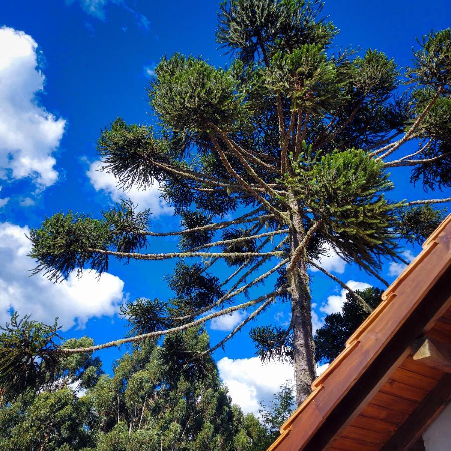 Alto Da Montanha Inn Urubici